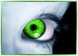 Jealousy, the green eyed monster raises its ugly head.
